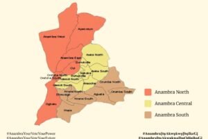 Anambra Senatorial Districts and Local Government Areas
