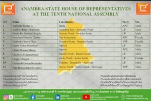 Anambra State House of Representatives at the Tenth National Assembly