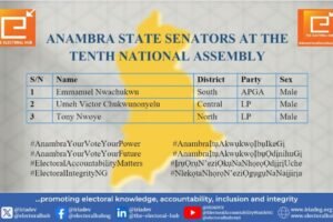 Anambra State Senators at the Tenth National Assembly