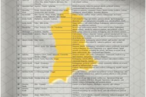 Anambra State Violence Matrix