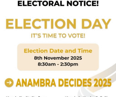 Anambra Decides 2025 Election Day.